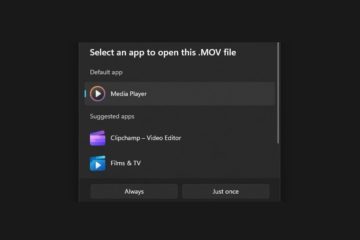 Play MOV Files on Windows 11