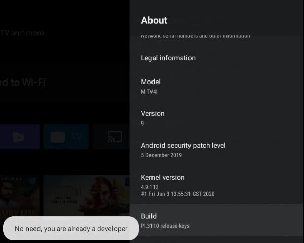 Enable Developer Options in Android TV