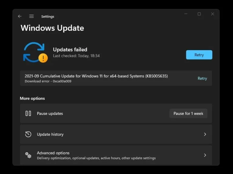 Windows 11 Updates Failed Download Error 0xca00a009
