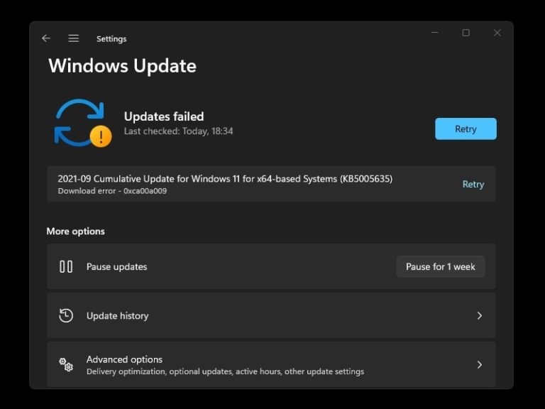 Windows 11 Updates Failed - Download Error