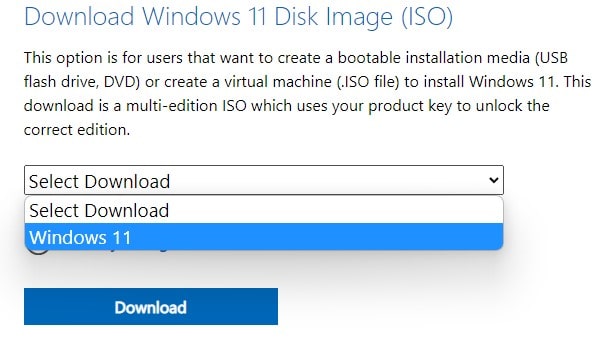 Select Windows 11