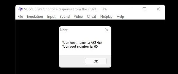 NetPlay Hostname and Port Number