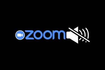How to Mute Zoom Audio Output without Muting Computer Windows 11