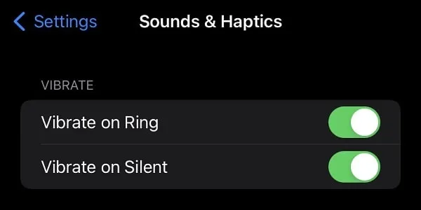 Enable Vibrate on Ring on iPhone