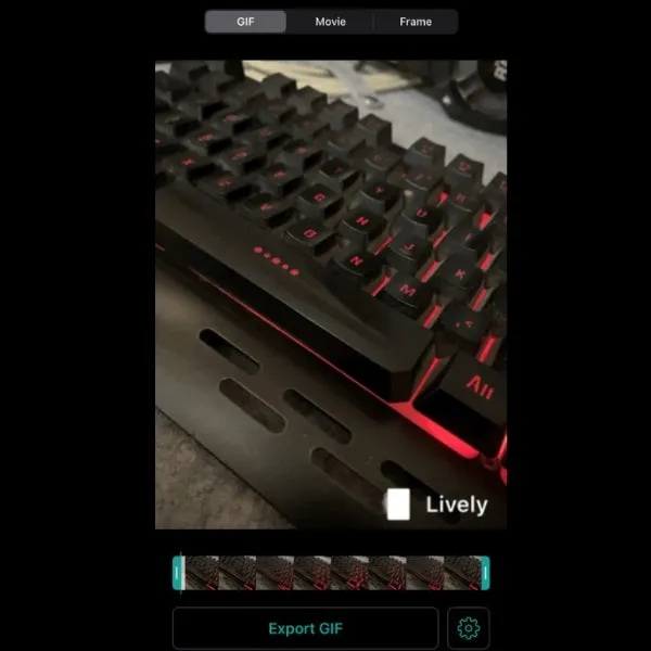 Export GIF Lively App