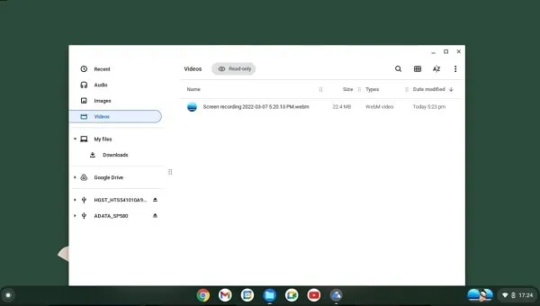 Google Chrome OS Flex File Manager