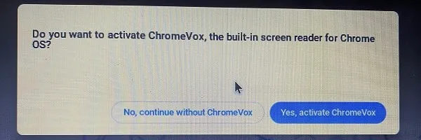 No, Continue without ChromeVox on Chrome OS Flex