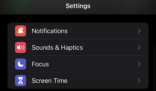 iPhone Sounds & Haptics Settings