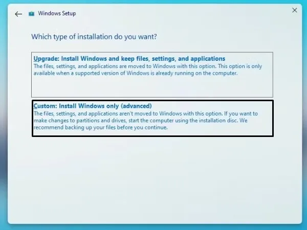 Custom Install Windows Only - Modified Windows 11 