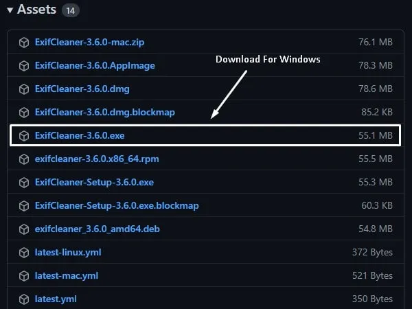 Download Exif Cleaner for Windows to Remove Metadata from Photos
