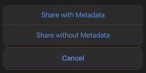 Share Without Metadata