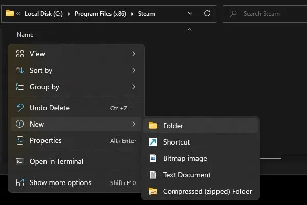 Create new skins folder inside steam folder