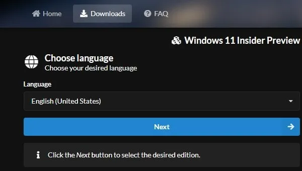 Choose Windows 11 22H2 build ISO Language