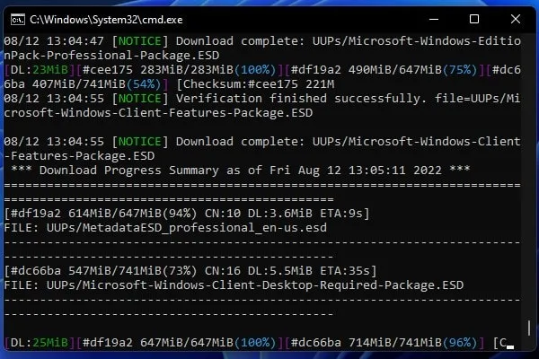 Downloading Windows 22H2 Latest Build using UUP Dump Tool