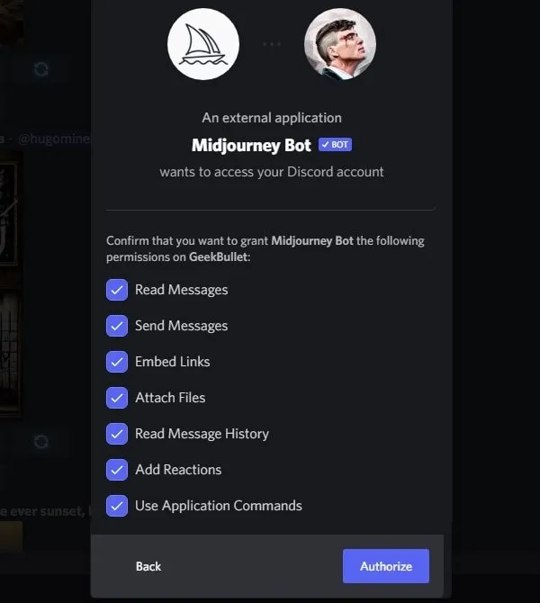 Give MidJourney Bot Permission to Add in Discord Server