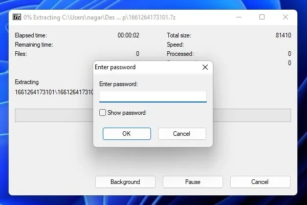 Windows 11 Folder Password Protected