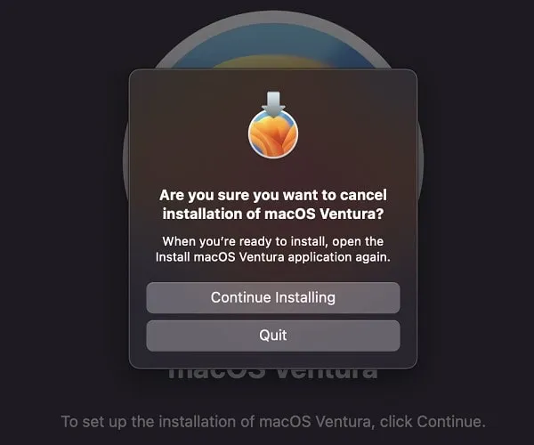 Confirm Quit macOS Installation
