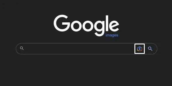 Google Images Camera Icon