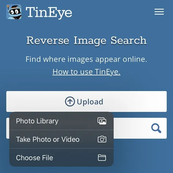 TinEye Reverse Image Search Engine Online