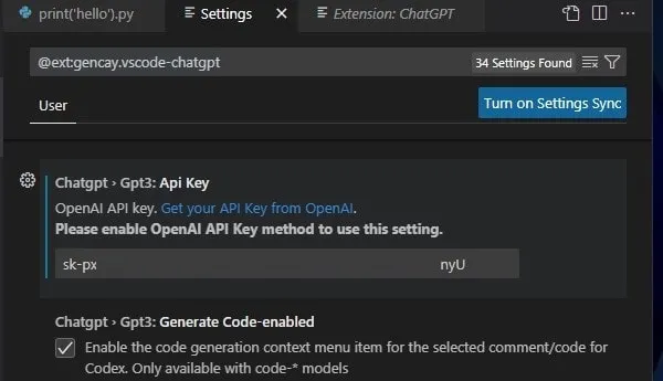ChatGPT API Key Turn on Settings Sync