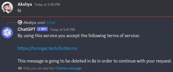 ChatGPT Bot Terms of Service