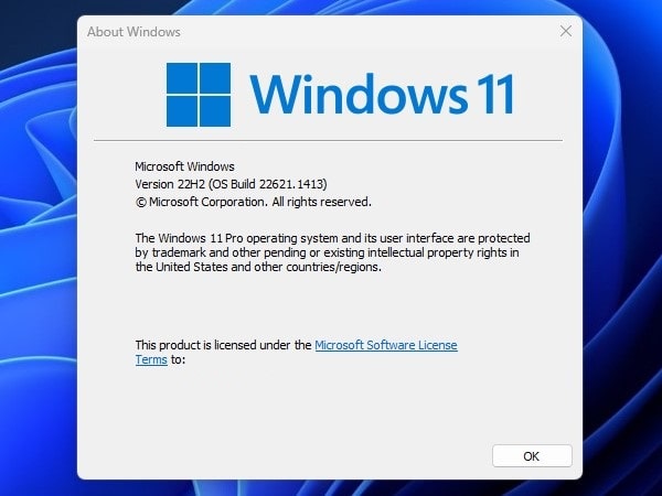 Check Windows 11 Version