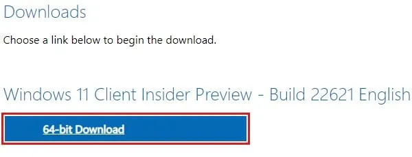 Download Windows 11 23H2 64-bit ISO